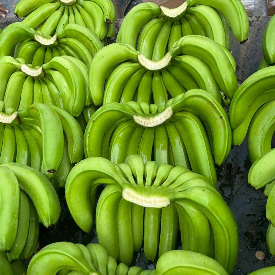 Organic Banana
